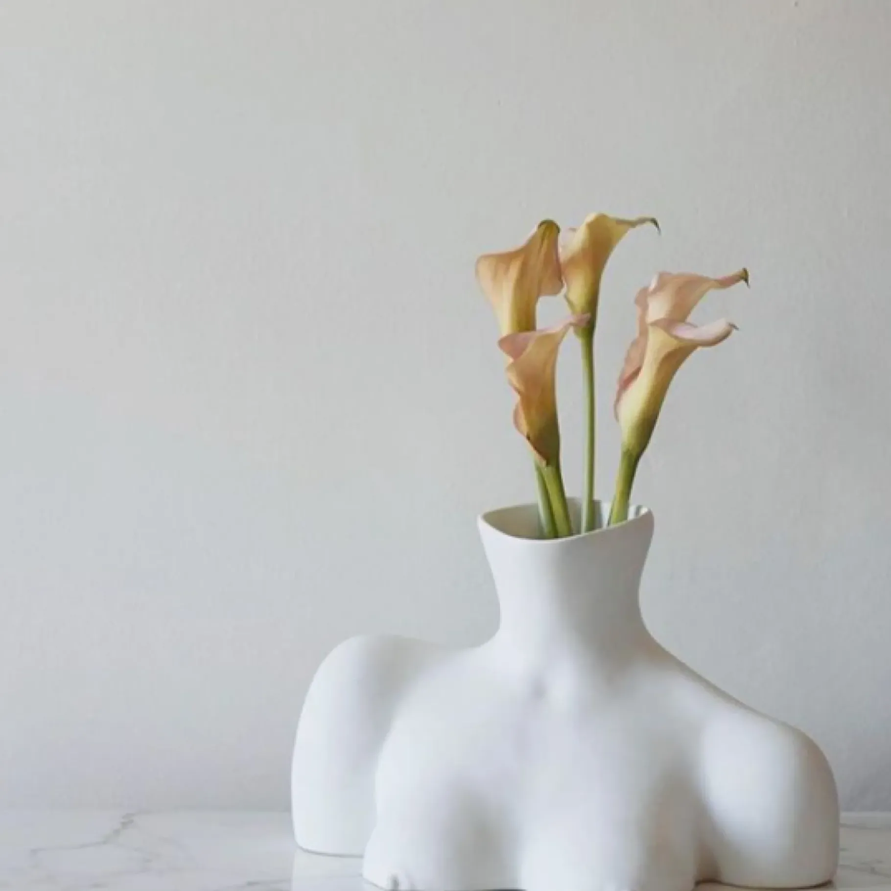 Anissa Kermiche Home-Breast Friend Vase (Matte White)